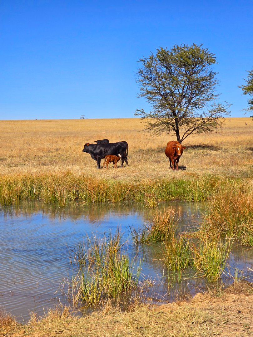 Commercial Property for Sale in Klerksdorp Rural North West